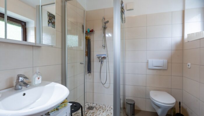 Modernes Duschbad im Erdgeschoss